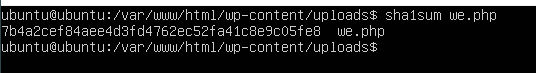 %5BAnalysis%5D%20Hash%20of%20Webshell%20c25c458806ff41e28804afa729a69658/Untitled%201.png