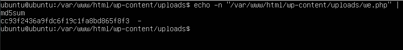 %5BAnalysis%5D%20Path%20of%20Webshell%207de4af1281a34ac089615b0bb0b649b4/Untitled%201.png
